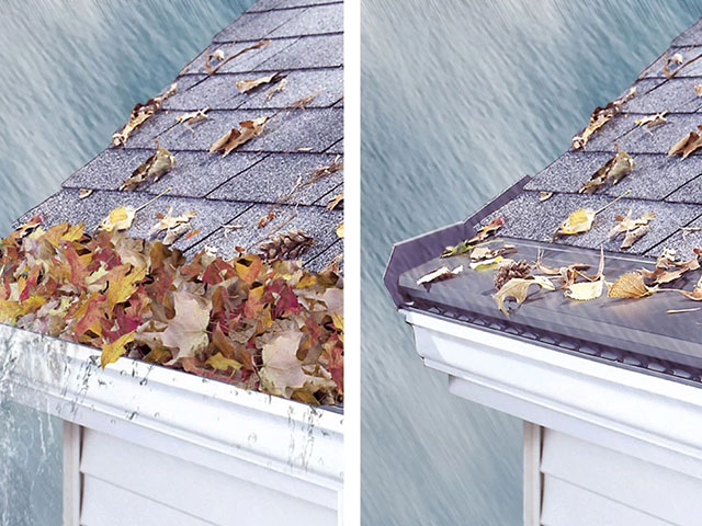 Clogged gutters